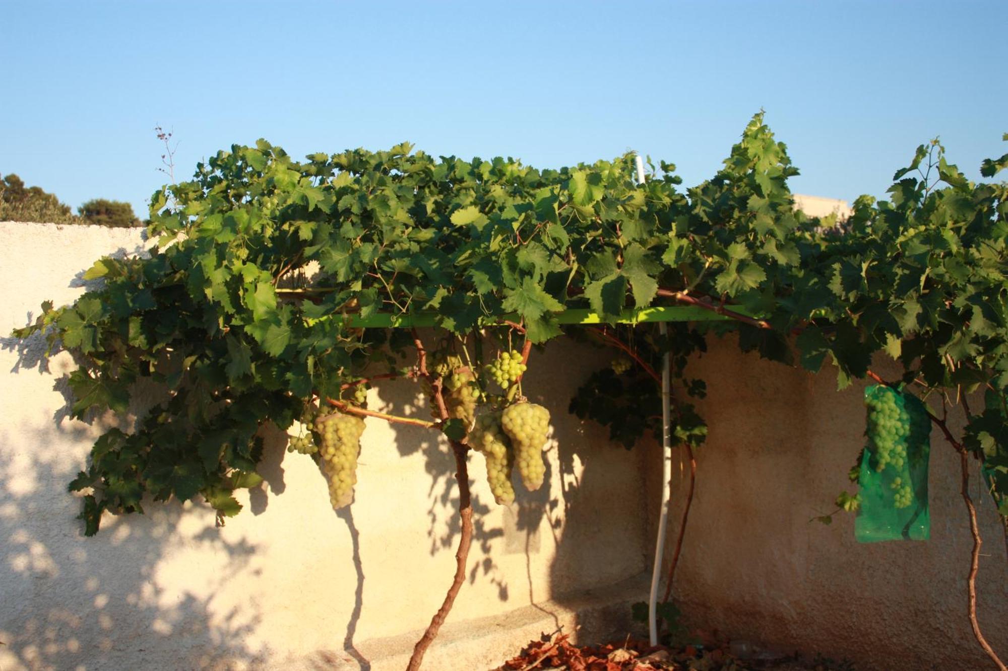 Casa Solare Rakalia Βίλα Spano Εξωτερικό φωτογραφία